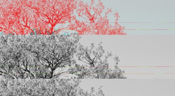 Tim Hortons Donuts recipe